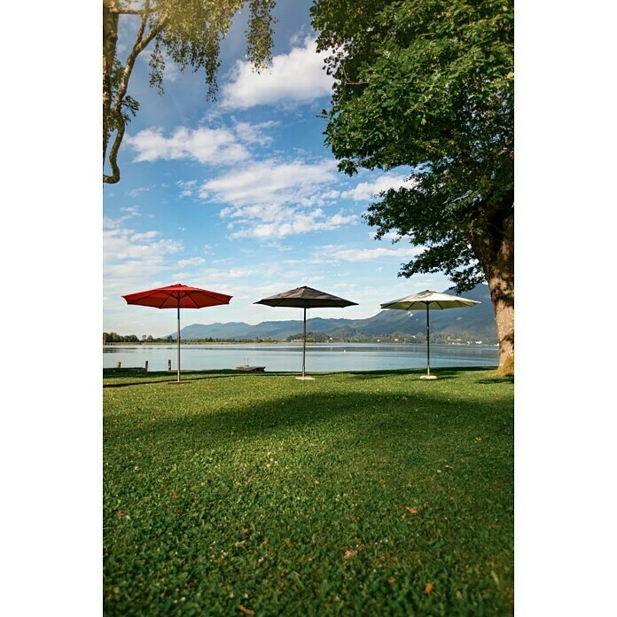 BAUHAUS Sunfun Marktschirm Trentino II Ecru, Durchmesser: 300 Cm 4 BAUHAUS Sunfun Marktschirm Trentino II Ecru, Durchmesser: 300 Cm – Bild 2